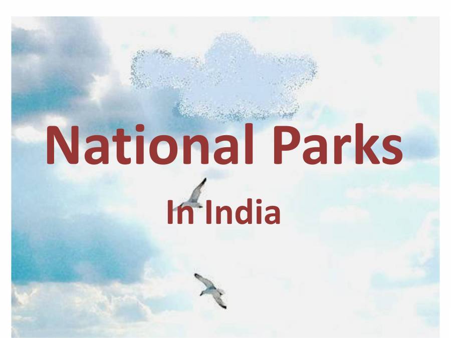 Indian Heritage - Wildlife - PowerPoint Slides - LearnPick India