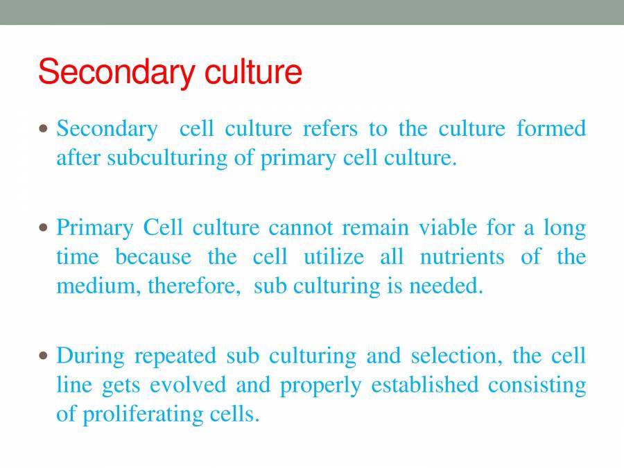 Cell Secondary Culture PowerPoint Slides LearnPick India