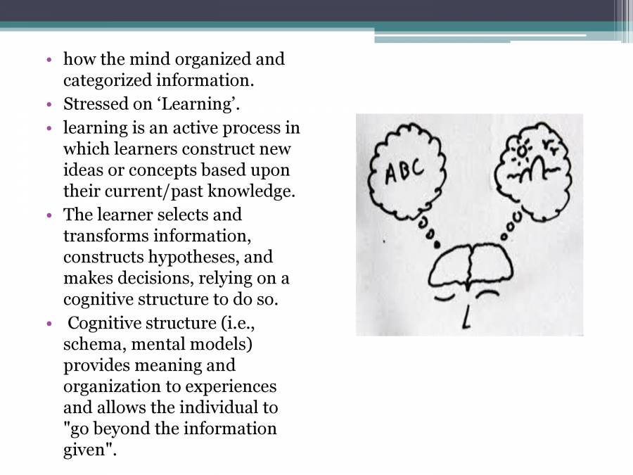 Cognitive development theory of bruner hotsell