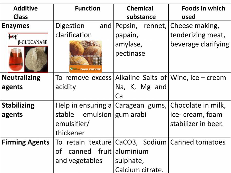 Food Additives PowerPoint Slides LearnPick India