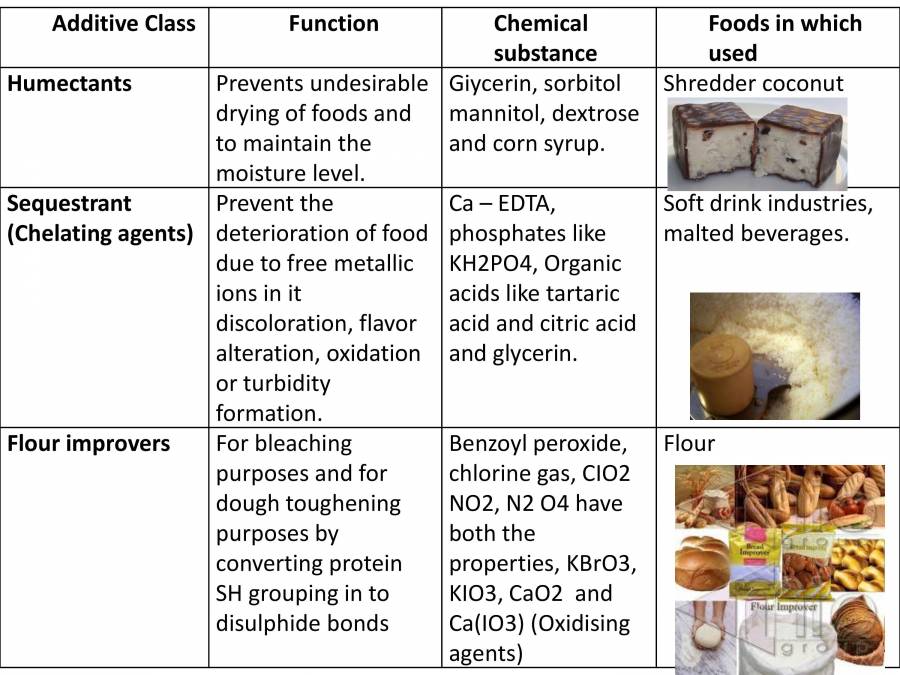 Food Additives PowerPoint Slides LearnPick India