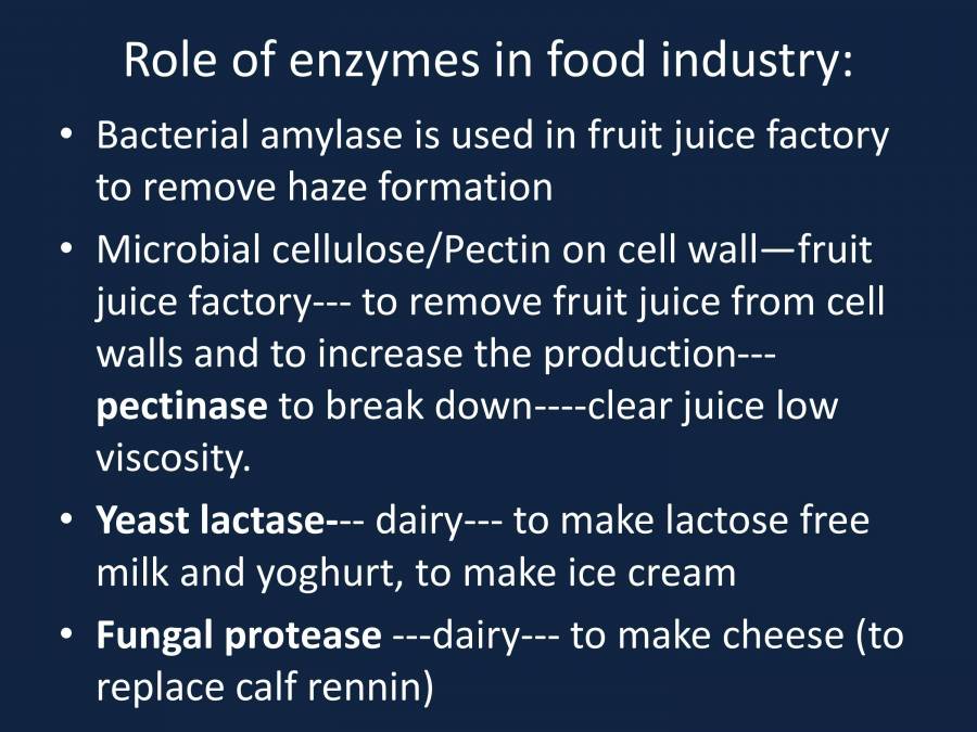 Enzymes Their Role In Industry PowerPoint Slides LearnPick India