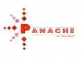Panache Institute